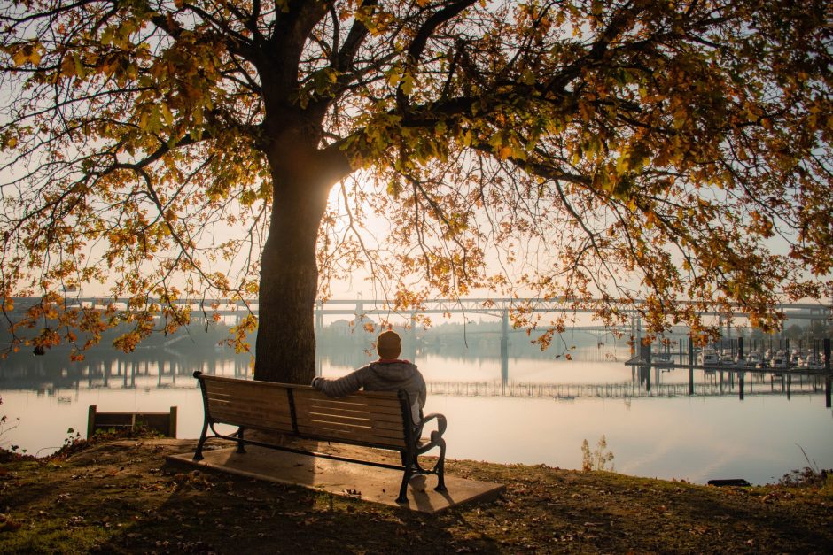 Eine Person auf einer Bank unter einem Baum, die voller Achtsamkeit auf den See vor ihr schaut.